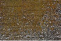 wall bricks overgrown moss 0008